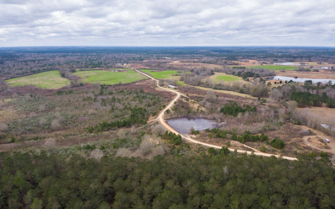 33.47 acre pasture land Poplarville MS