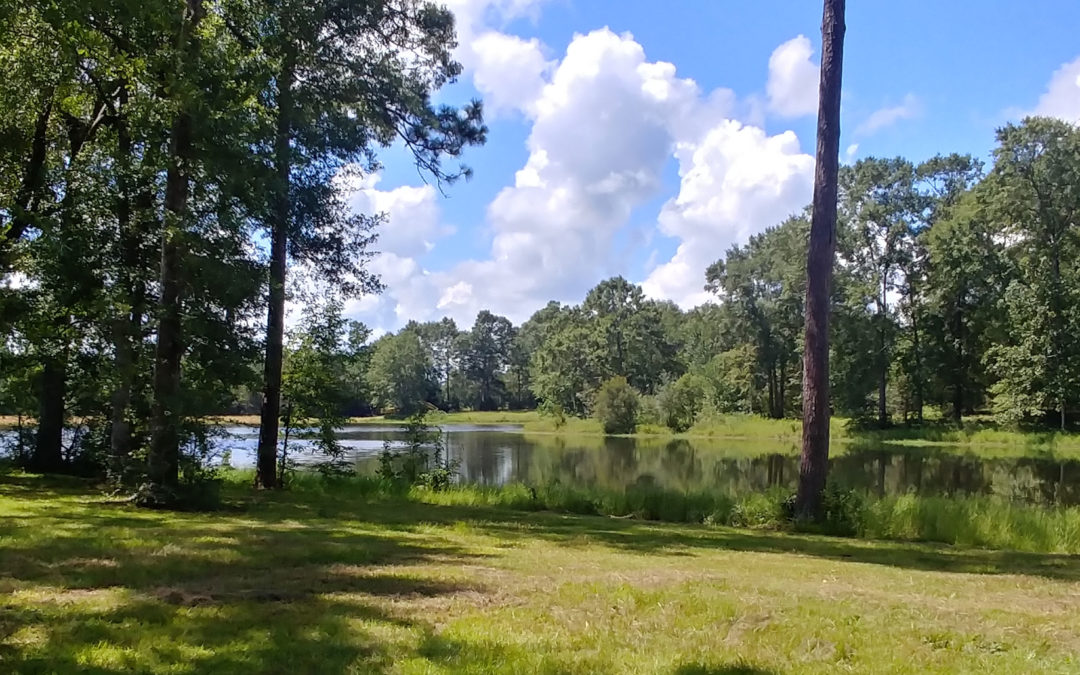 LOTS FOR SALE Savannah Heights Poplarville MS