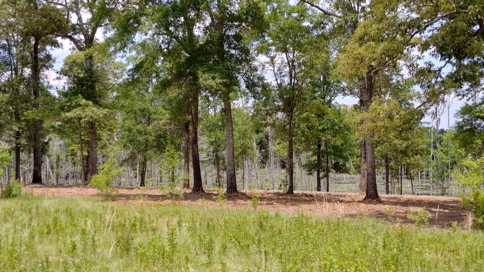 mississippi-community-image-7