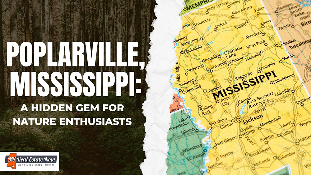 Poplarville, Mississippi: A Hidden Gem for Nature Enthusiasts