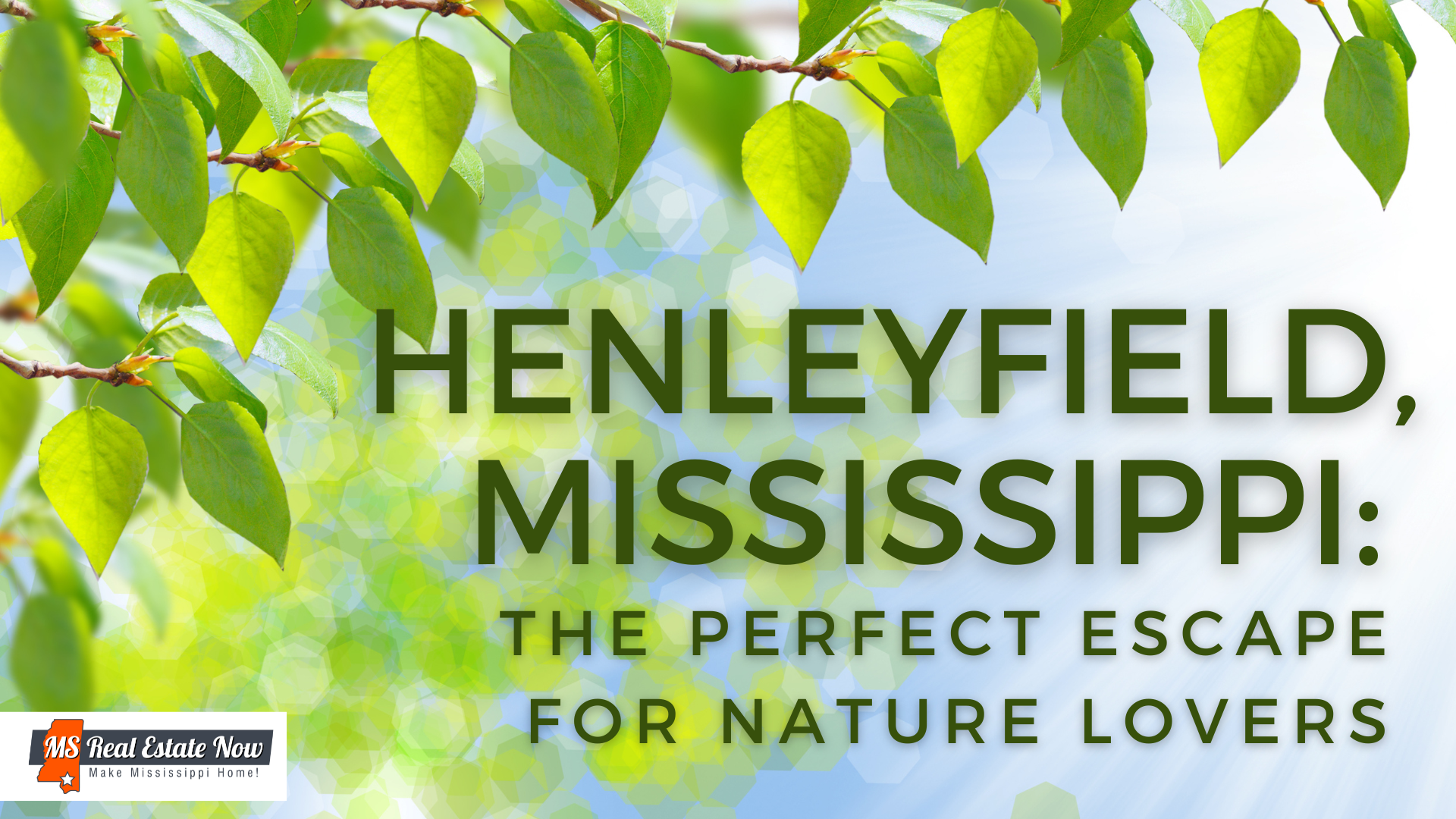 Henleyfield, Mississippi: The Perfect Escape for Nature Lovers