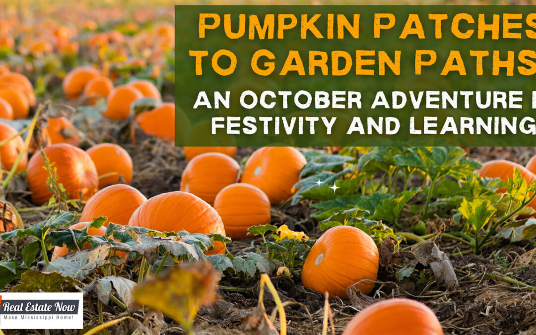 Pumpkin Patches to Garden Paths: An October Adventure in Festivity and Learning